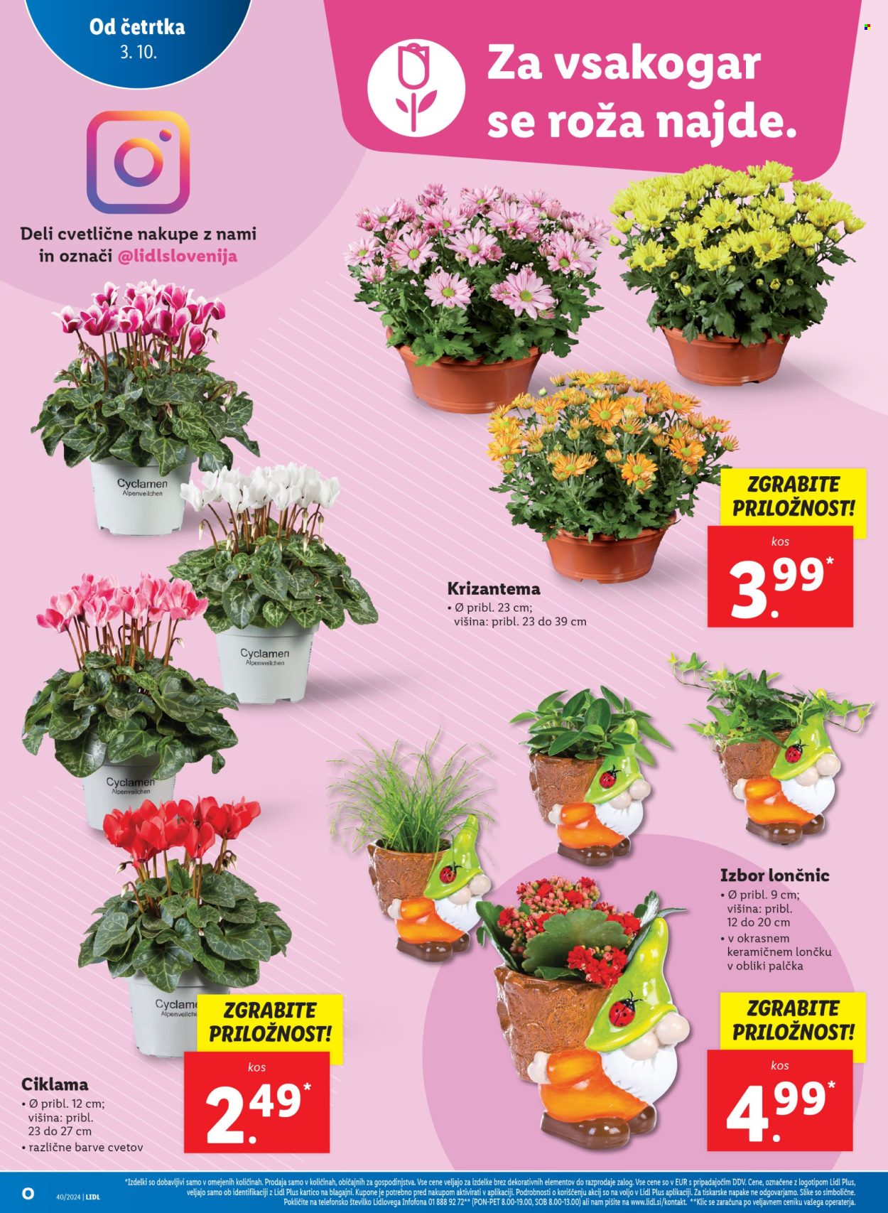 Lidl katalog - 3.10.2024 - 9.10.2024. Stran 8