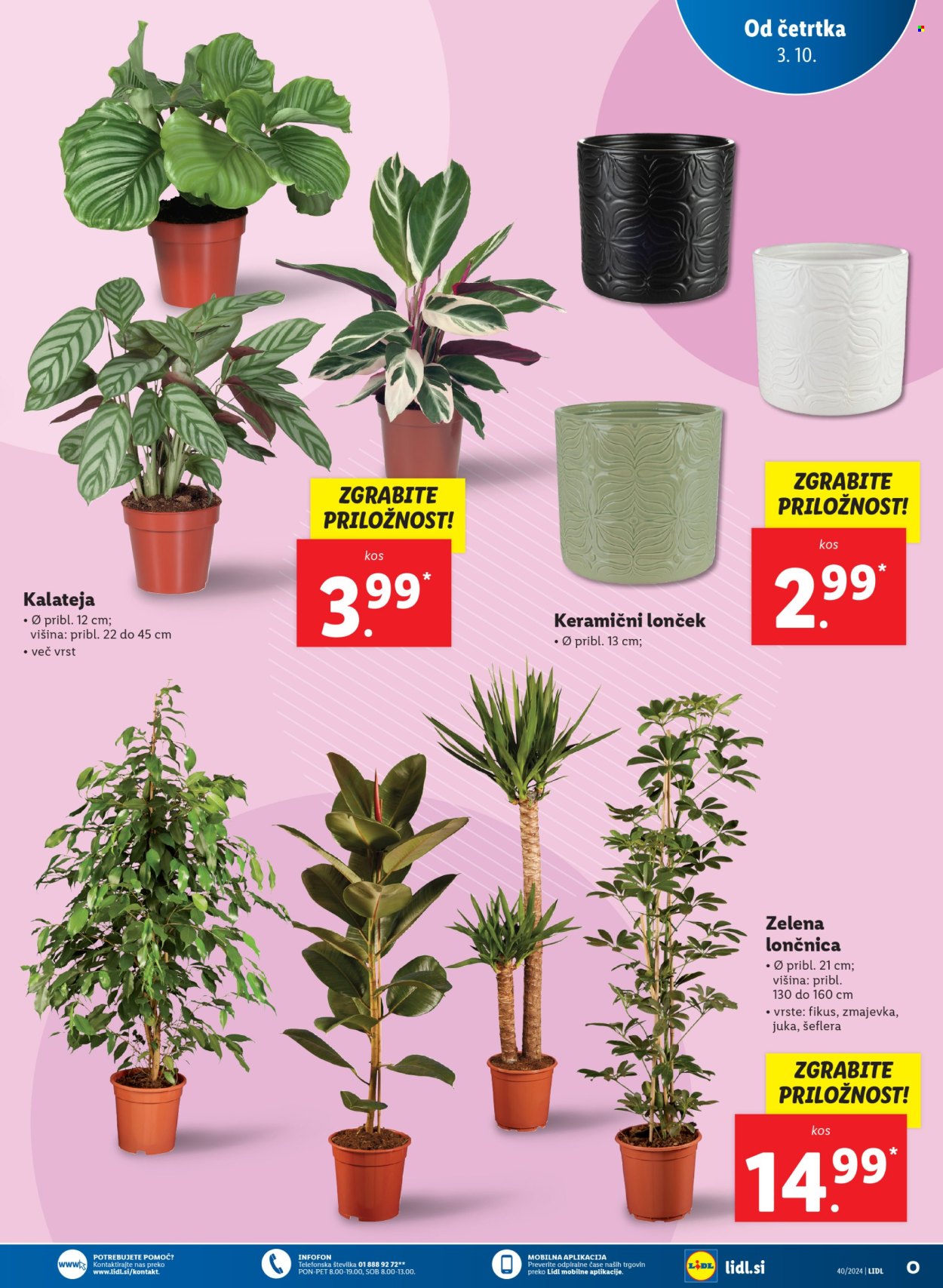 Lidl katalog - 3.10.2024 - 9.10.2024. Stran 9