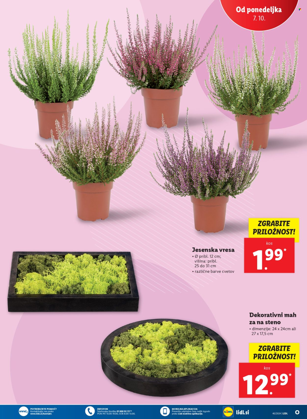 Lidl katalog - 3.10.2024 - 9.10.2024. Stran 43