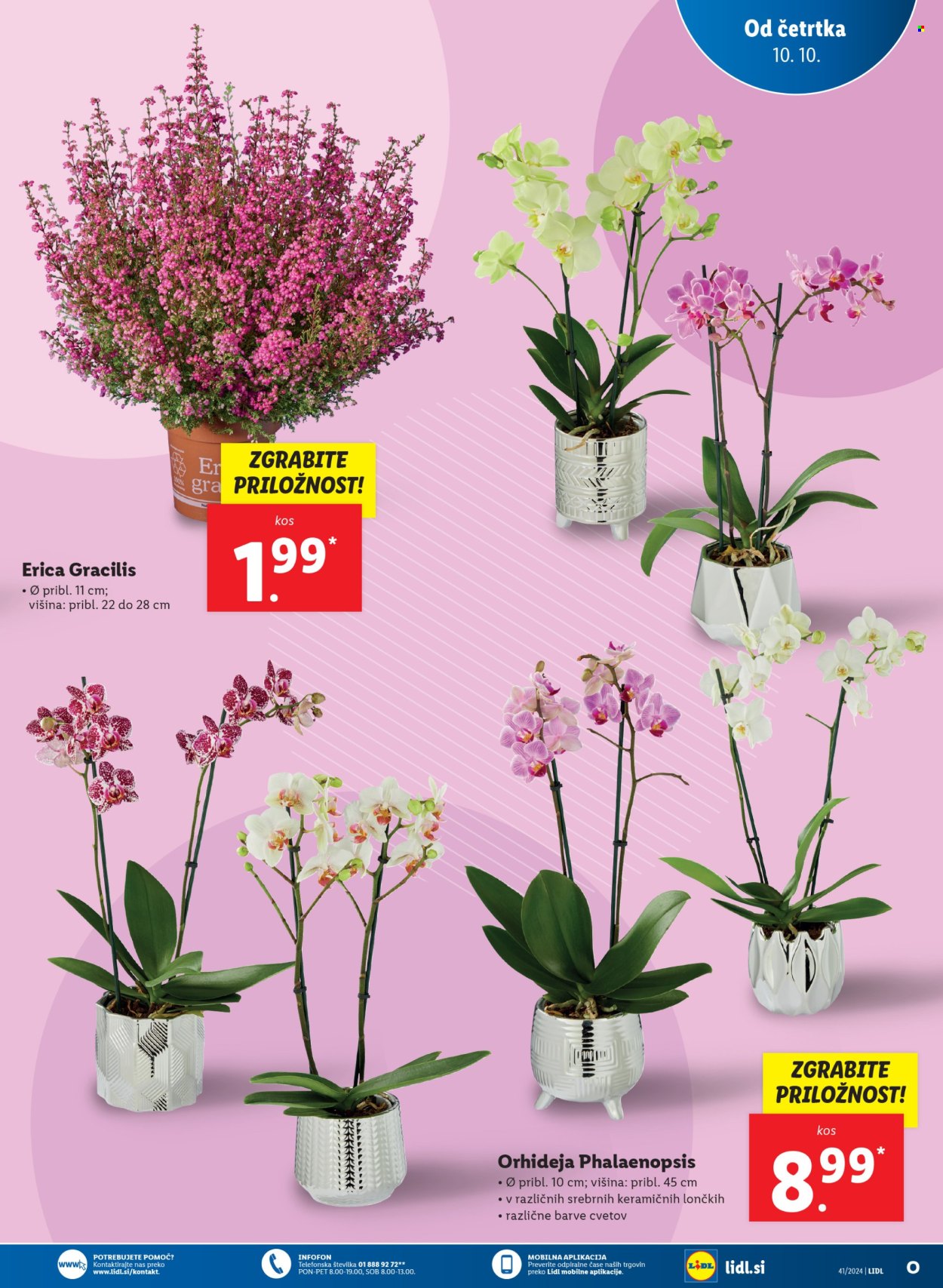Lidl katalog - 10.10.2024 - 16.10.2024. Stran 17