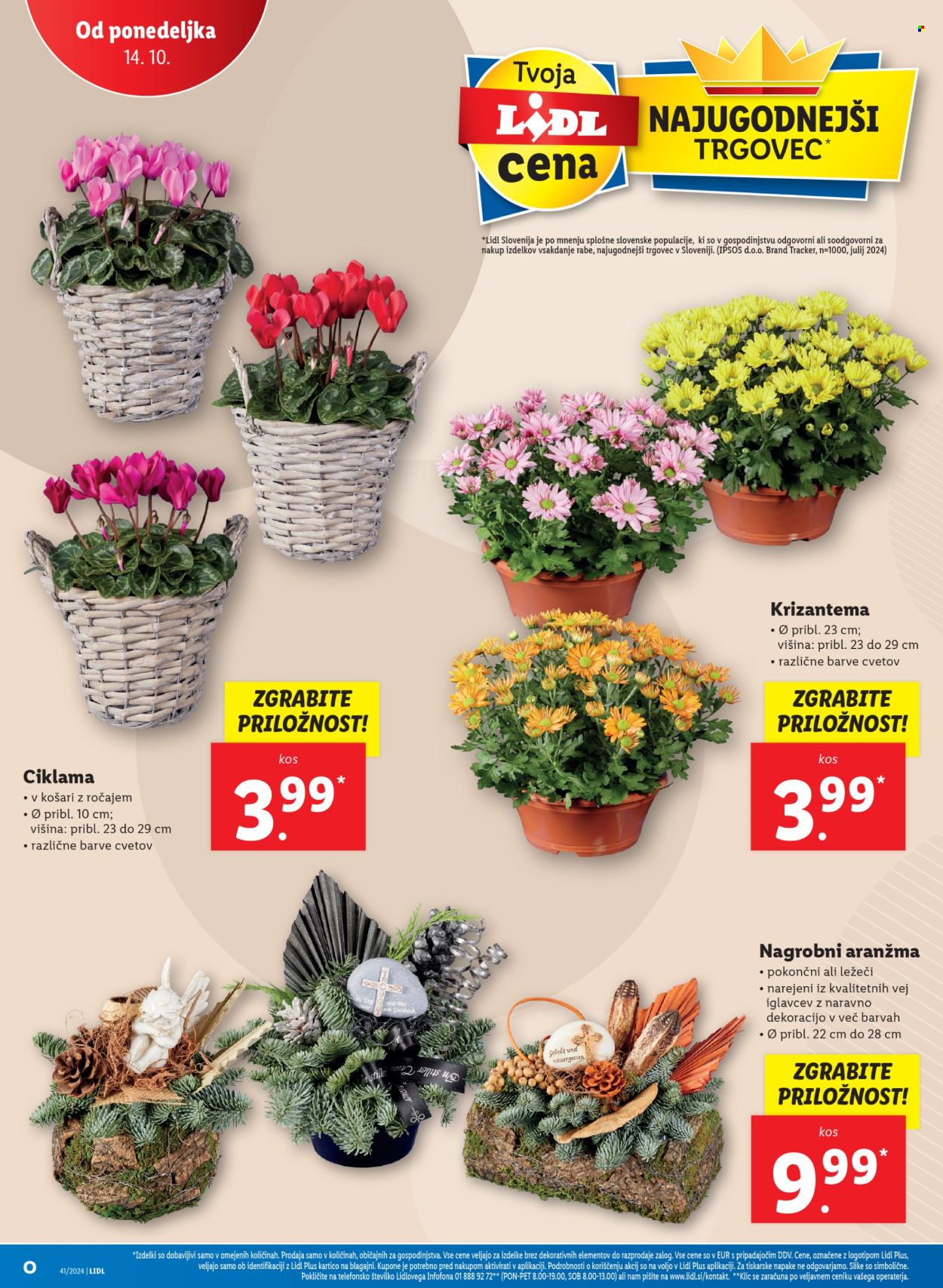 Lidl katalog - 10.10.2024 - 16.10.2024. Stran 44