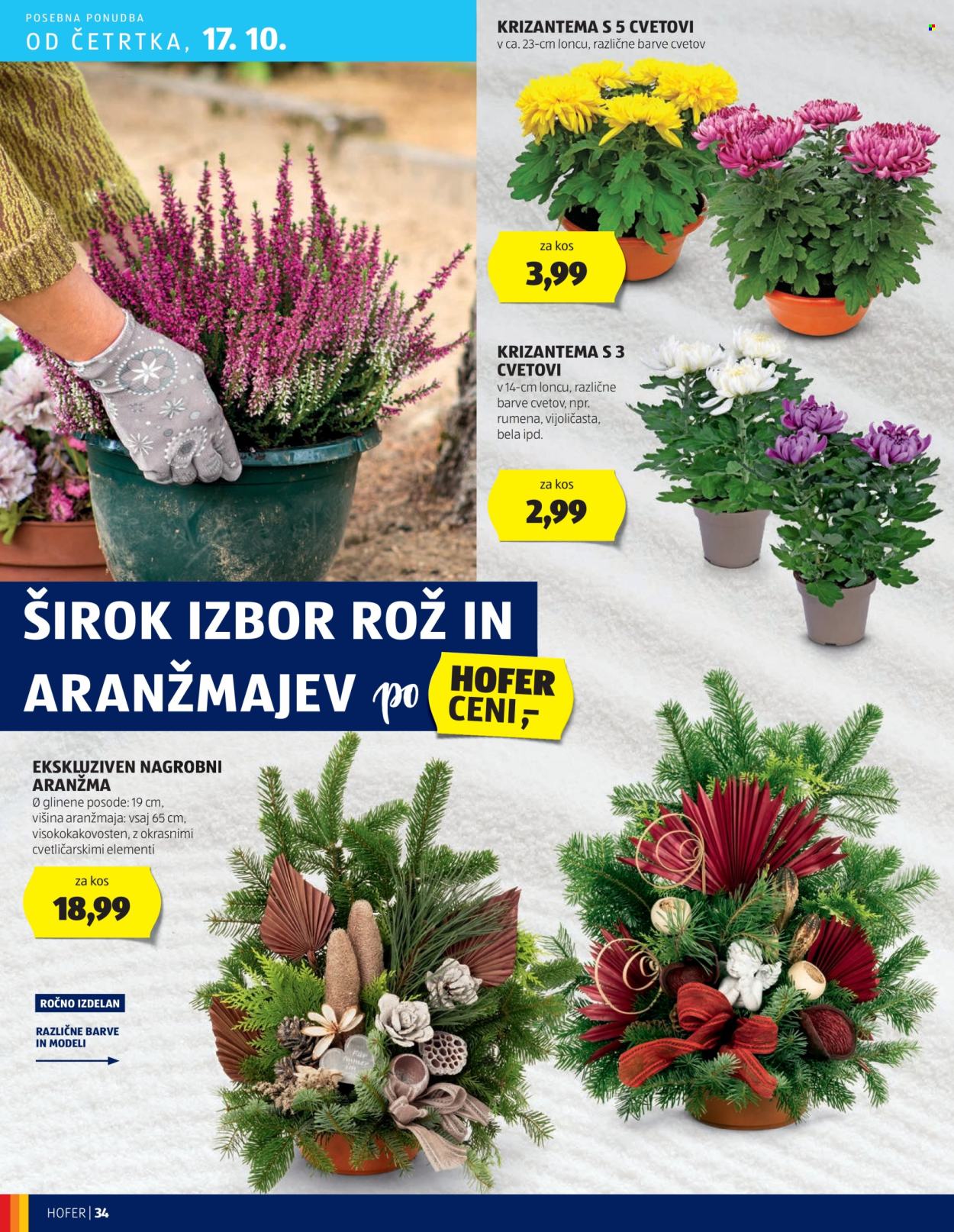 Hofer katalog - 10.10.2024 - 19.10.2024. Stran 34