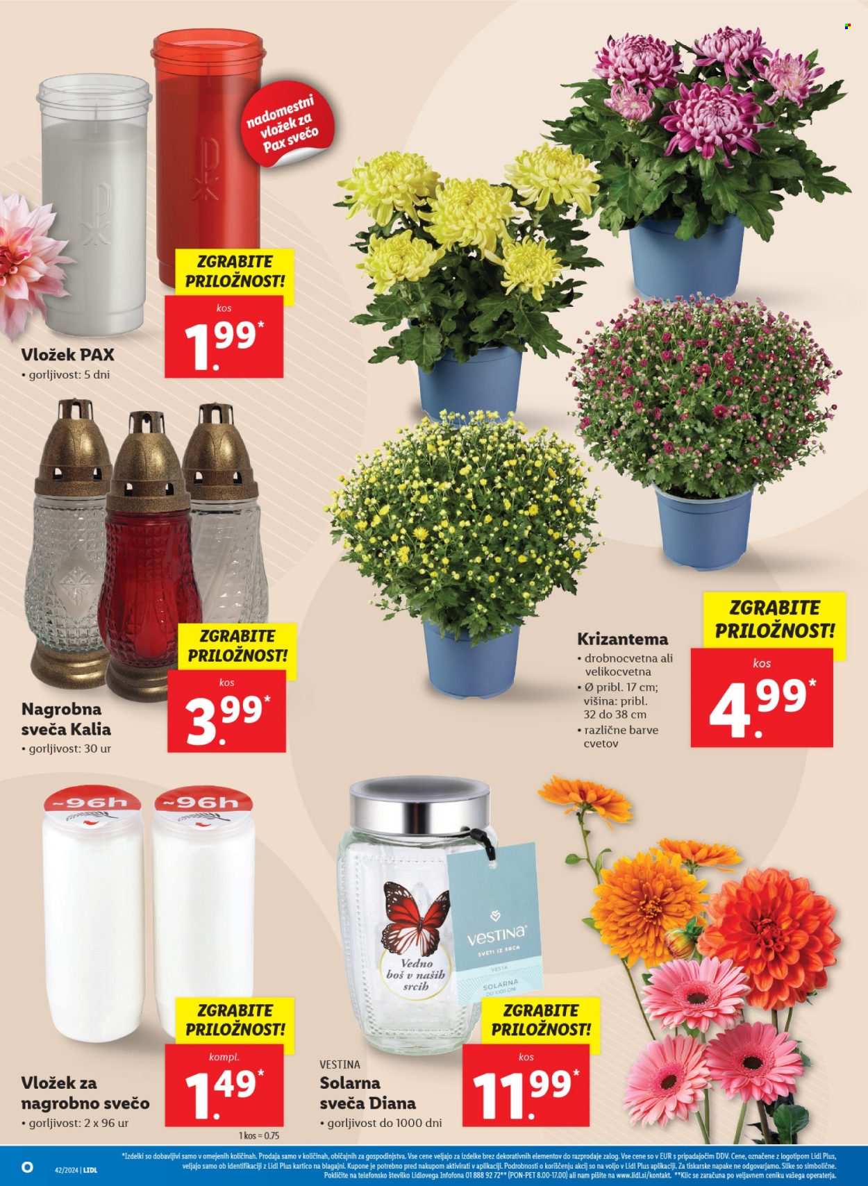 Lidl katalog - 17.10.2024 - 23.10.2024. Stran 4