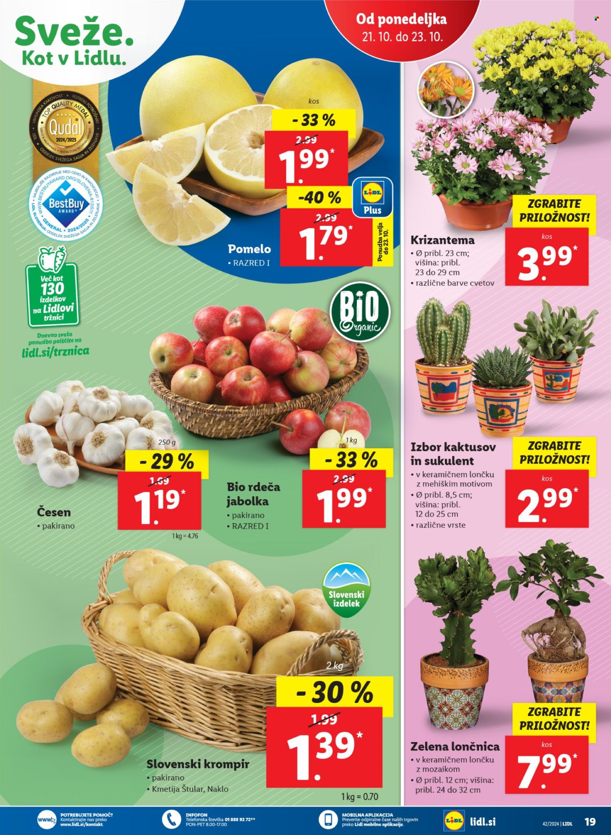 Lidl katalog - 17.10.2024 - 23.10.2024. Stran 39