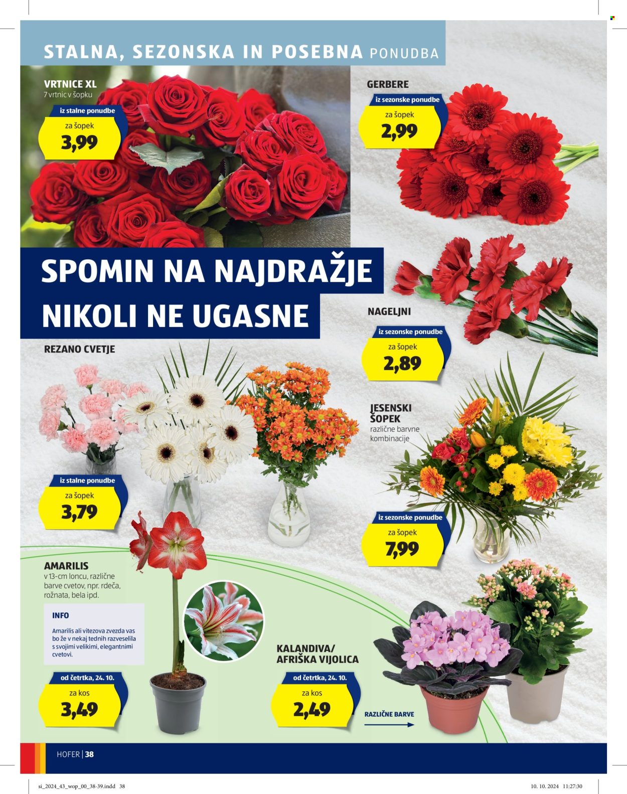 Hofer katalog - 17.10.2024 - 26.10.2024. Stran 38