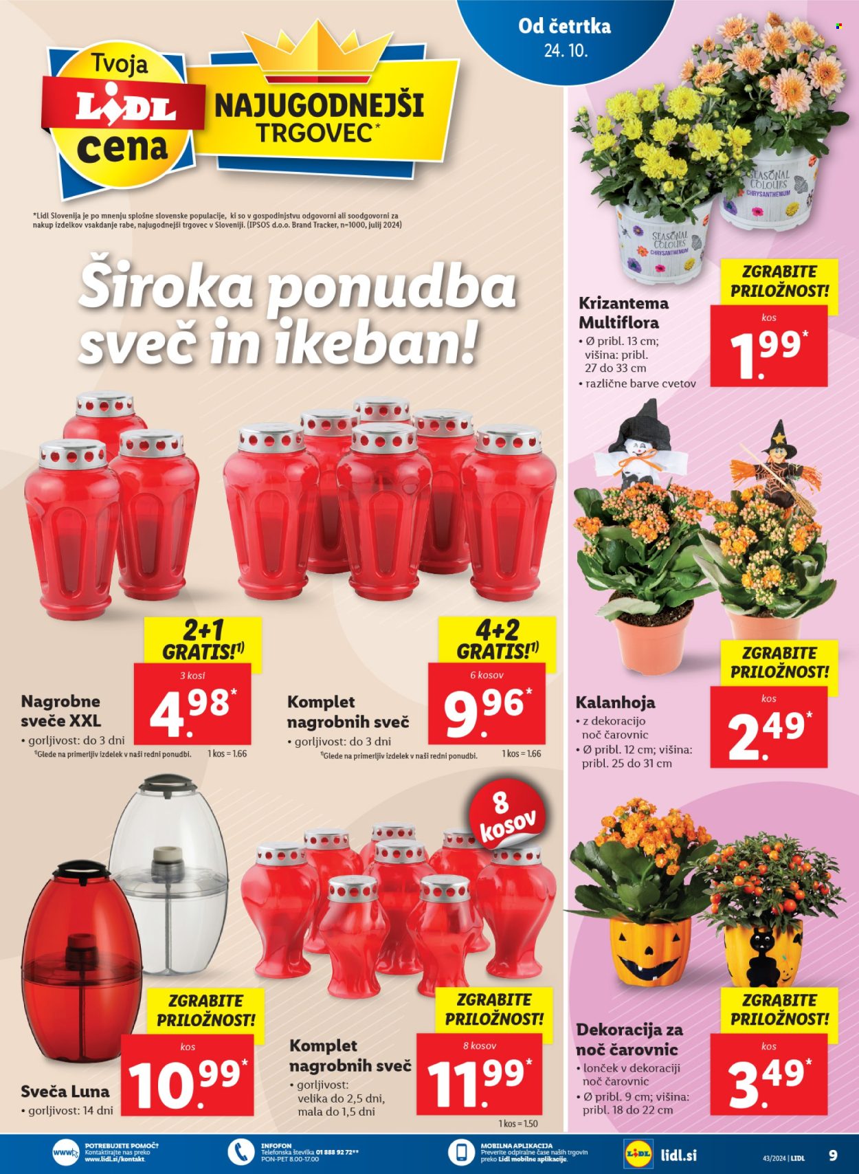 Lidl katalog - 24.10.2024 - 30.10.2024. Stran 13