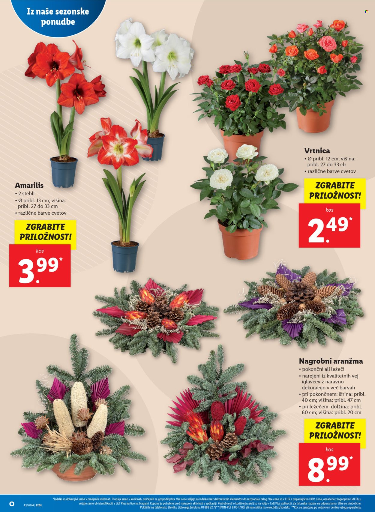 Lidl katalog - 24.10.2024 - 30.10.2024. Stran 16