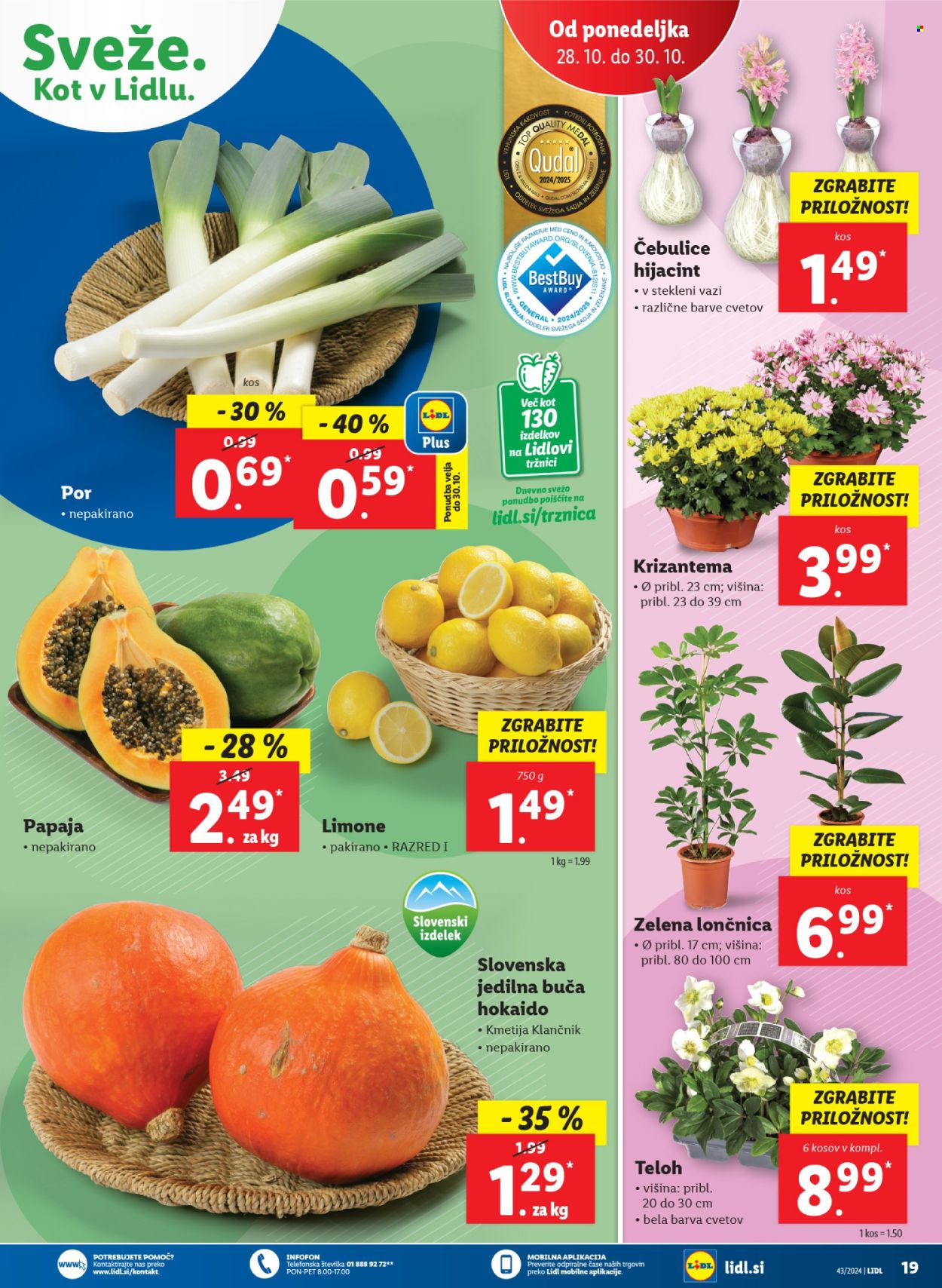 Lidl katalog - 24.10.2024 - 30.10.2024. Stran 45