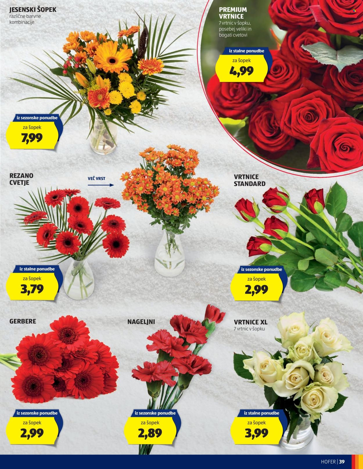 Hofer katalog - 24.10.2024 - 2.11.2024. Stran 39