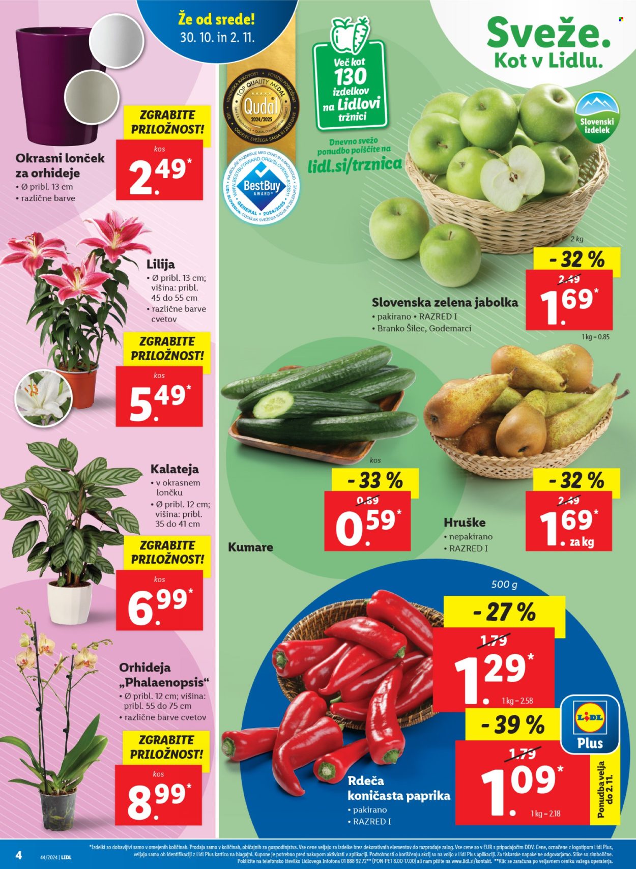 Lidl katalog - 30.10.2024 - 6.11.2024. Stran 4