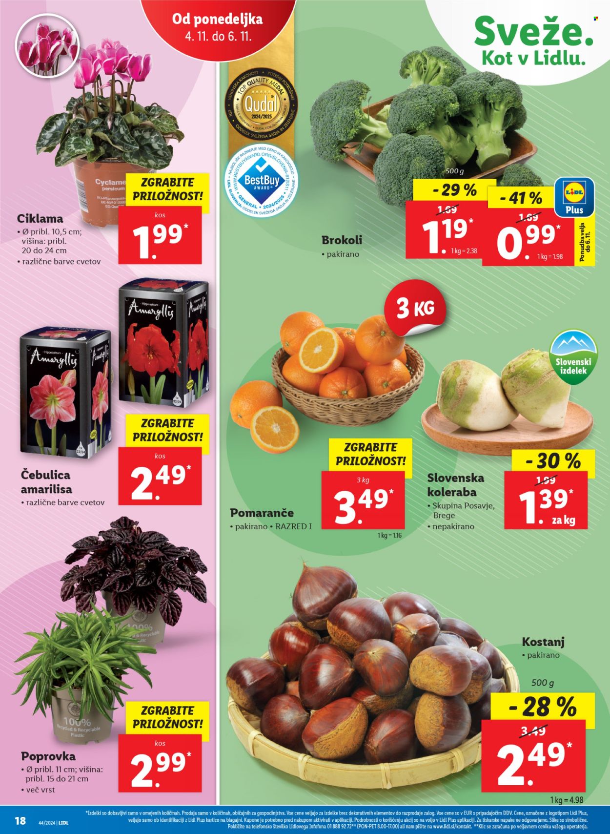 Lidl katalog - 30.10.2024 - 6.11.2024. Stran 40