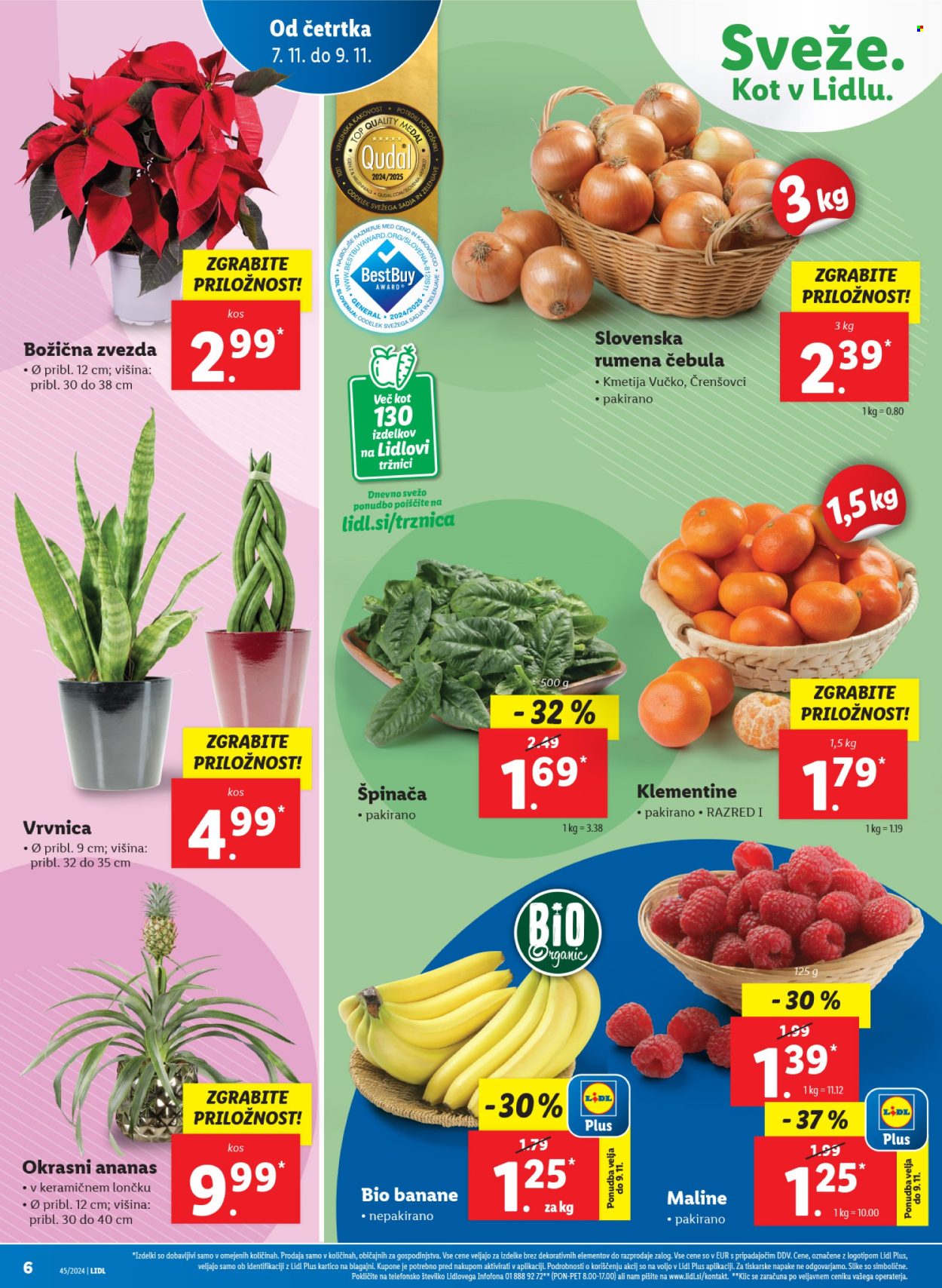 Lidl katalog - 7.11.2024 - 13.11.2024. Stran 8
