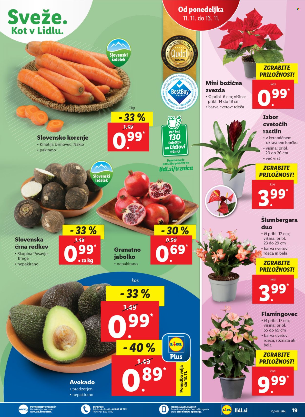 Lidl katalog - 7.11.2024 - 13.11.2024. Stran 37