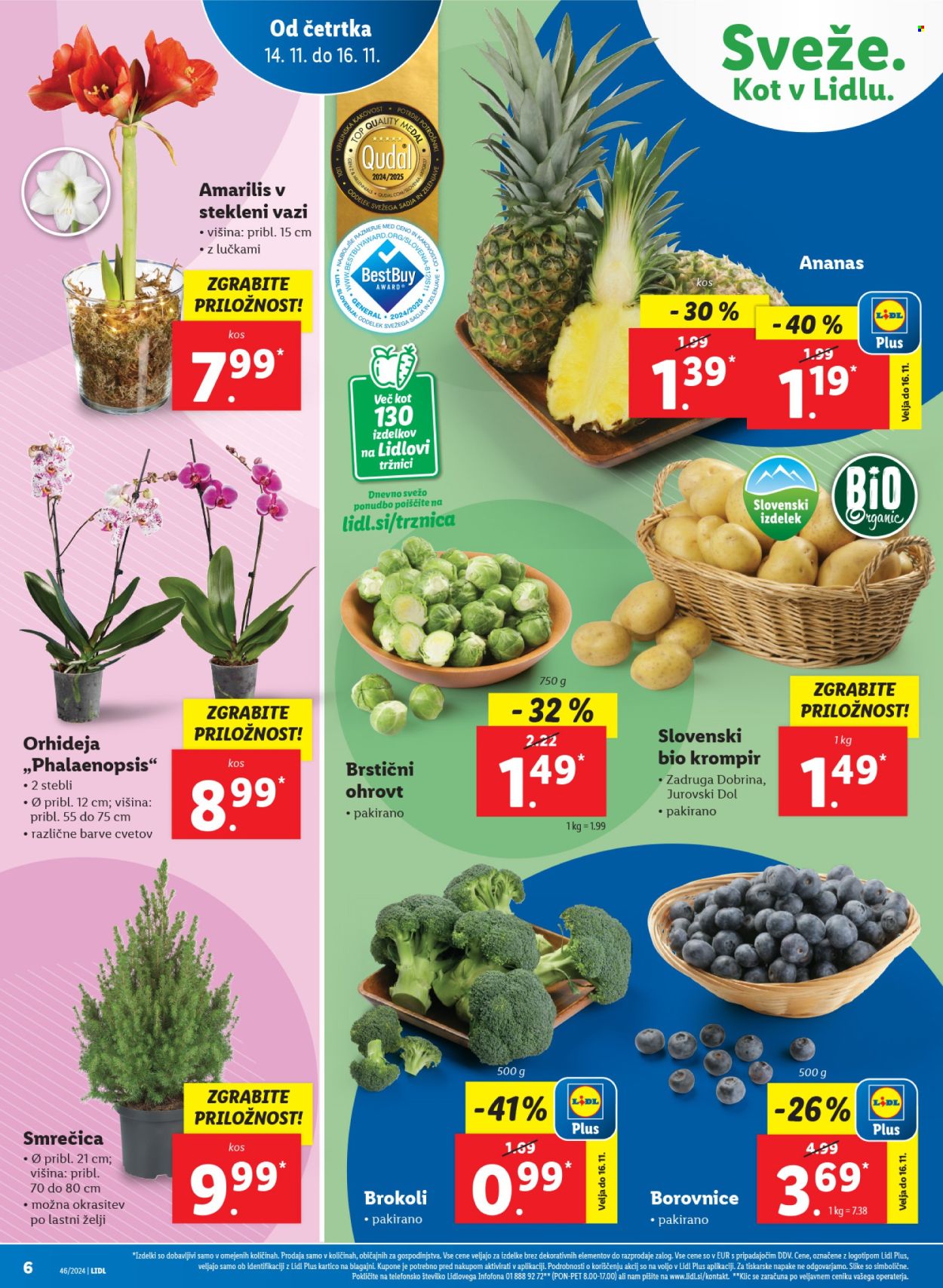 Lidl katalog - 14.11.2024 - 20.11.2024. Stran 10