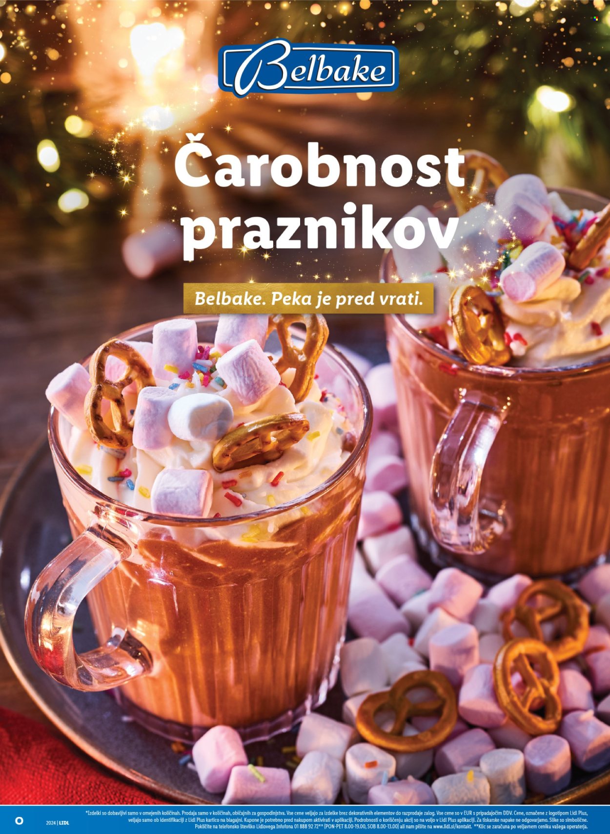 Lidl katalog. Stran 26