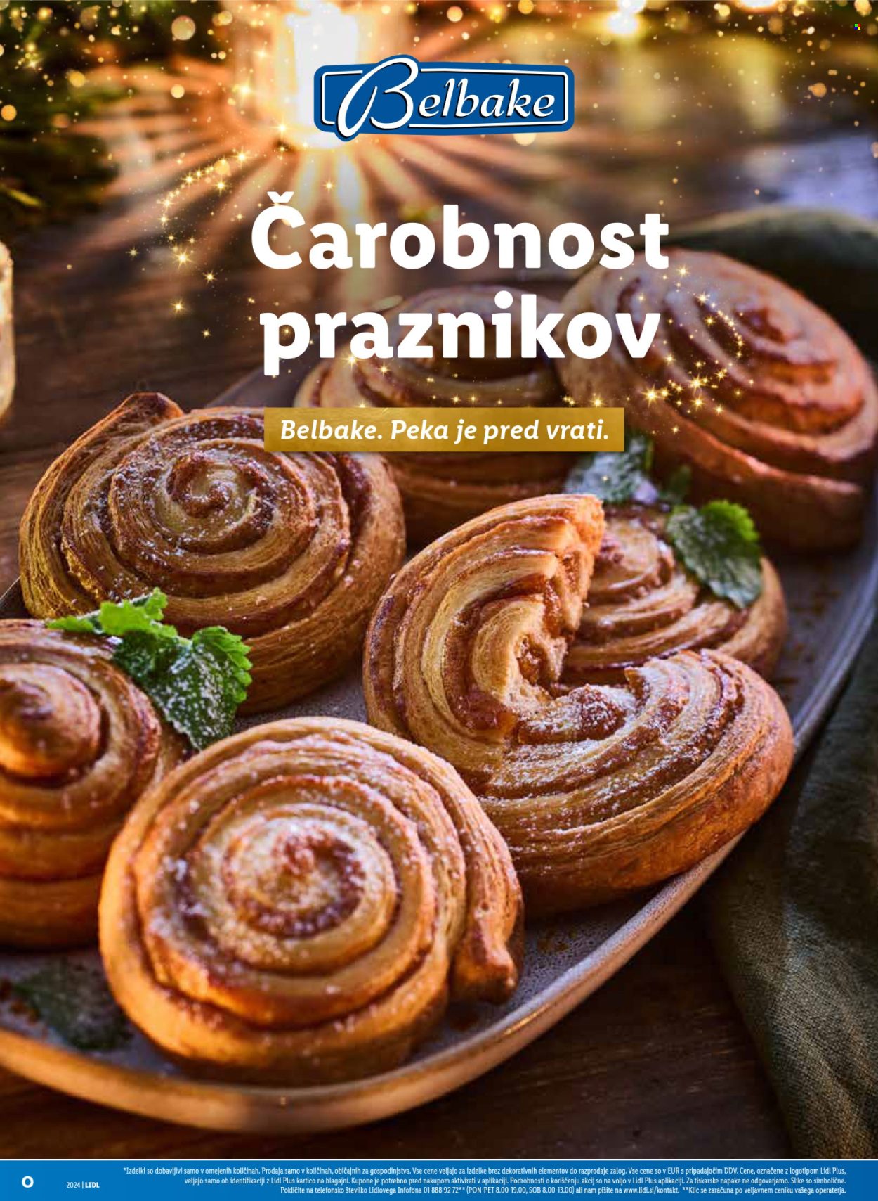 Lidl katalog. Stran 46