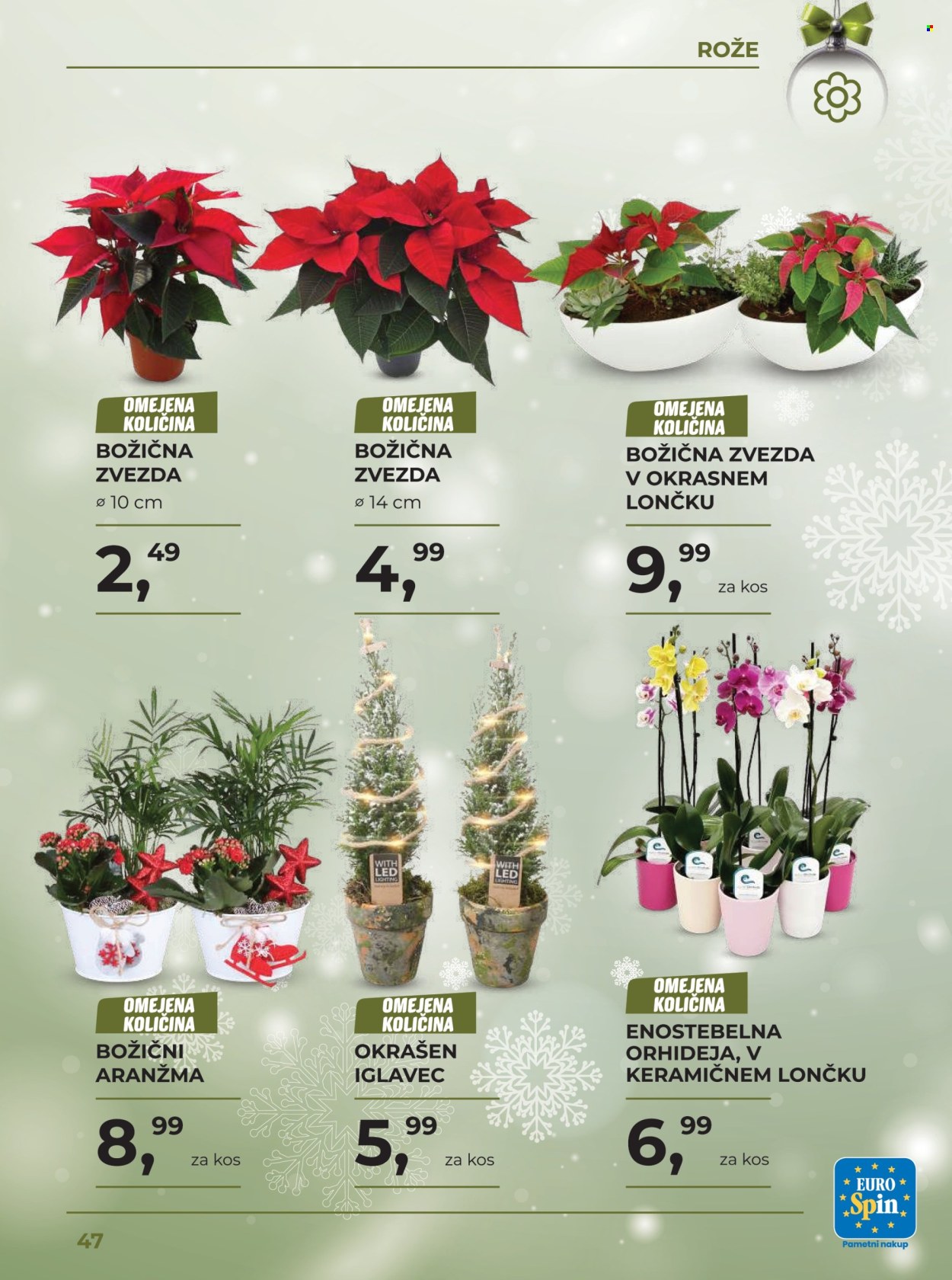 EuroSpin katalog - 25.11.2024 - 29.12.2024. Stran 47