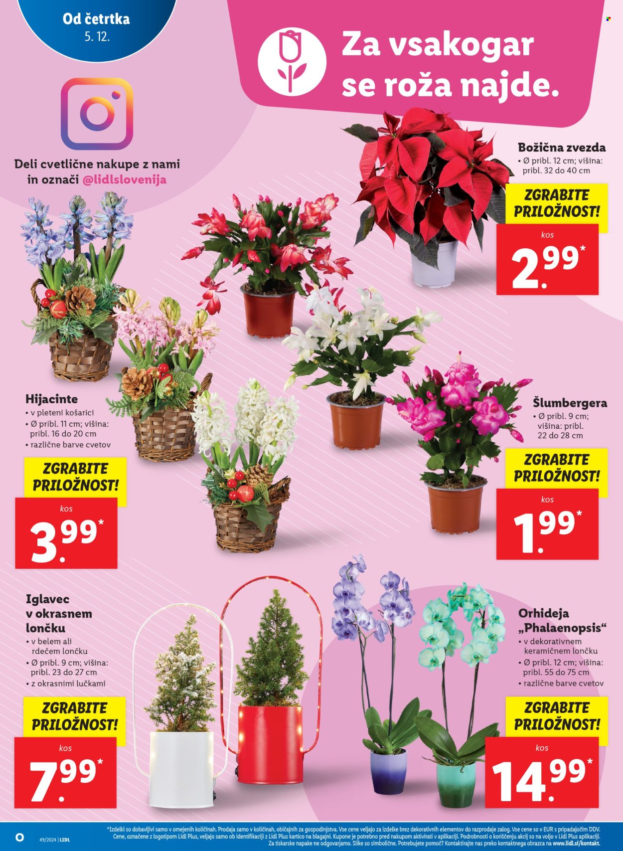Lidl katalog - 5.12.2024 - 11.12.2024. Stran 16