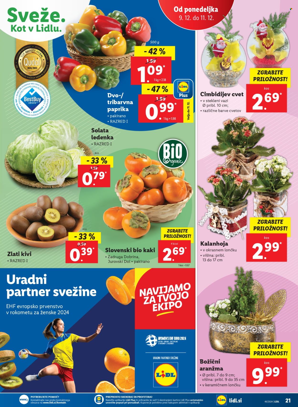 Lidl katalog - 5.12.2024 - 11.12.2024. Stran 47