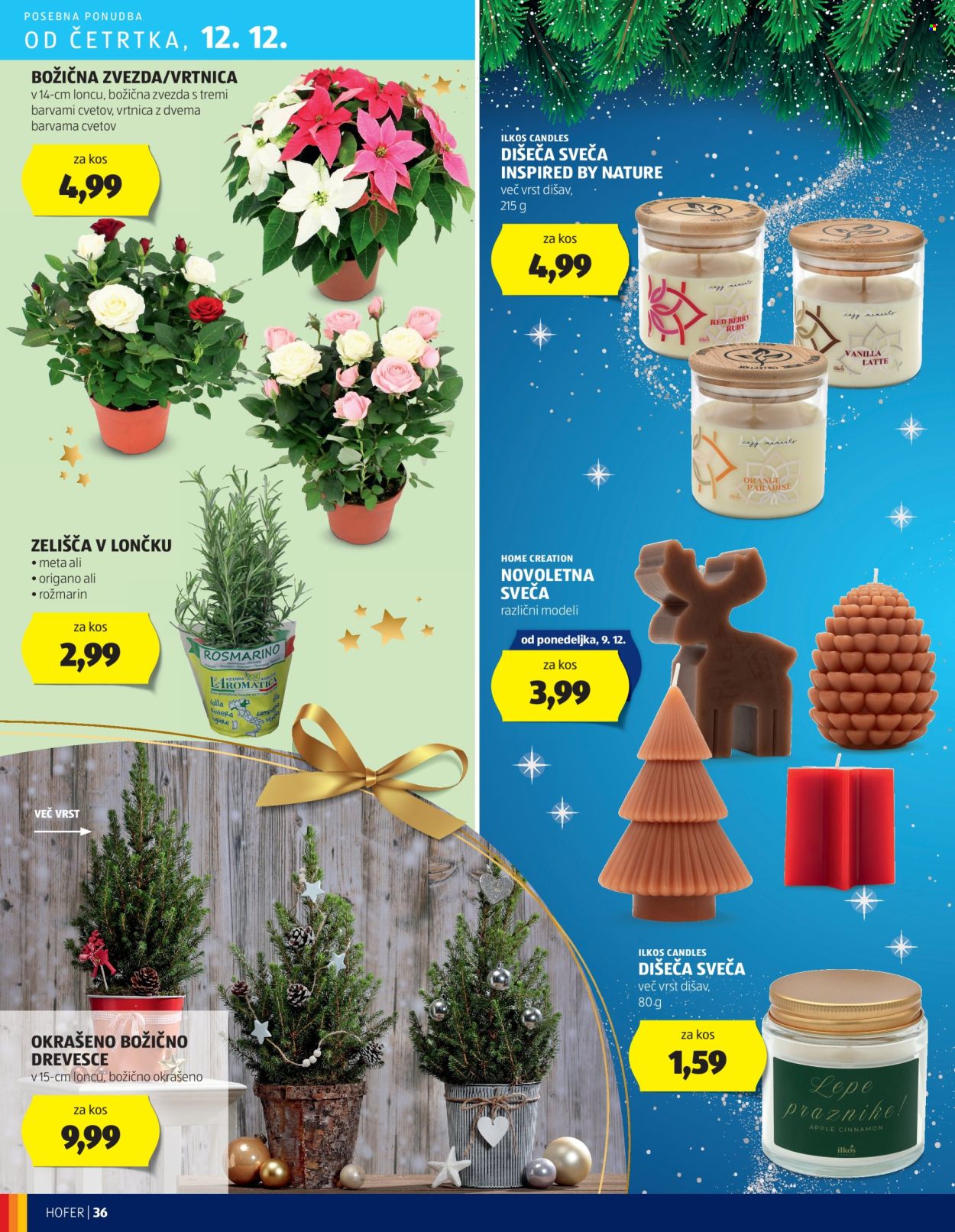 Hofer katalog - 5.12.2024 - 14.12.2024. Stran 36
