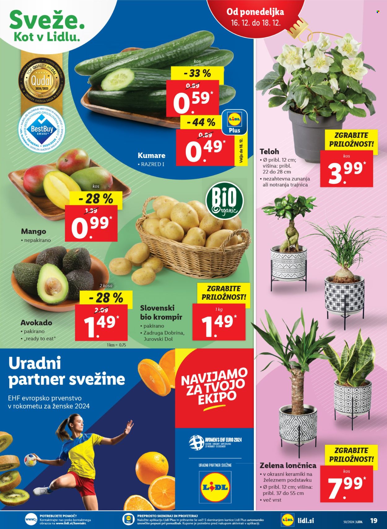 Lidl katalog - 12.12.2024 - 18.12.2024. Stran 37
