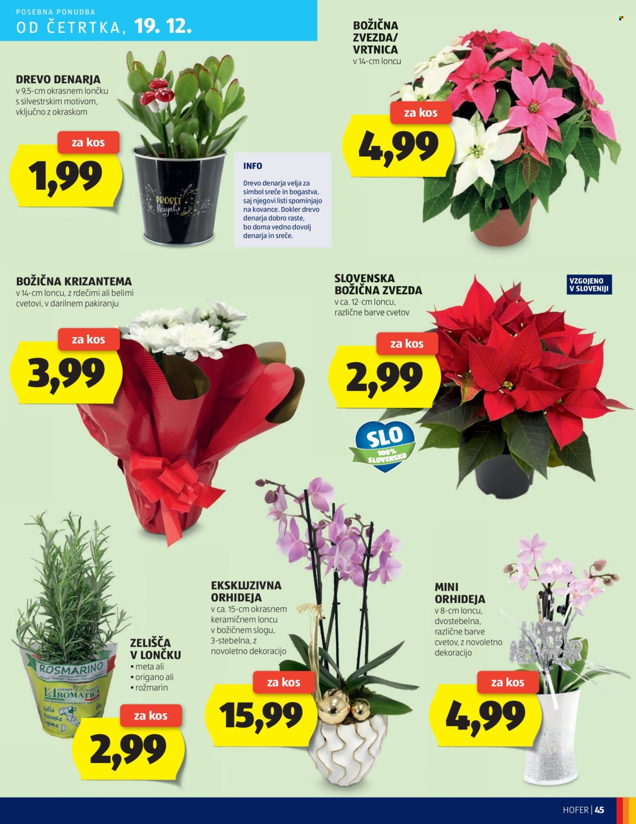 Hofer katalog - 12.12.2024 - 21.12.2024. Stran 45