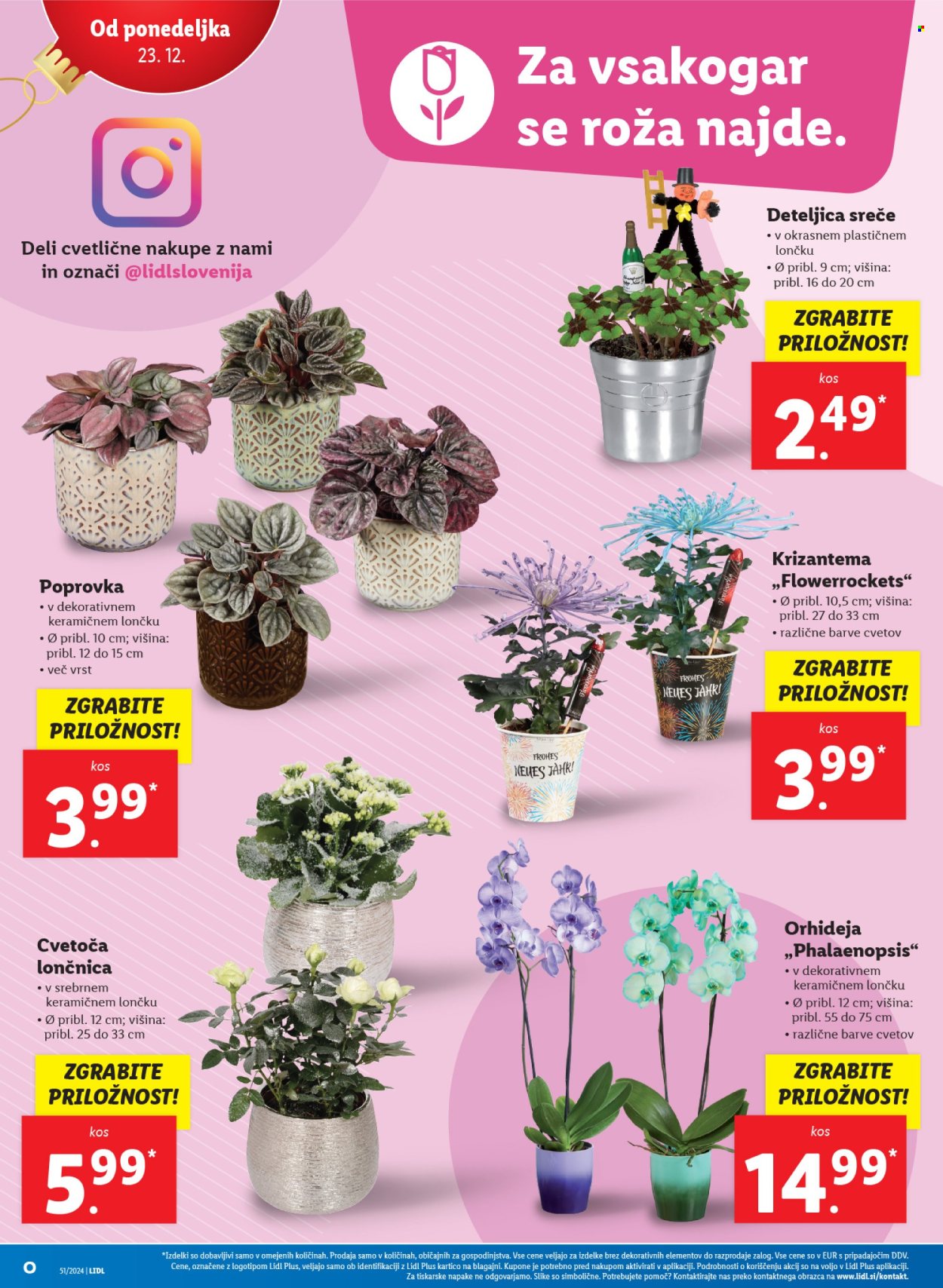 Lidl katalog - 19.12.2024 - 24.12.2024. Stran 34