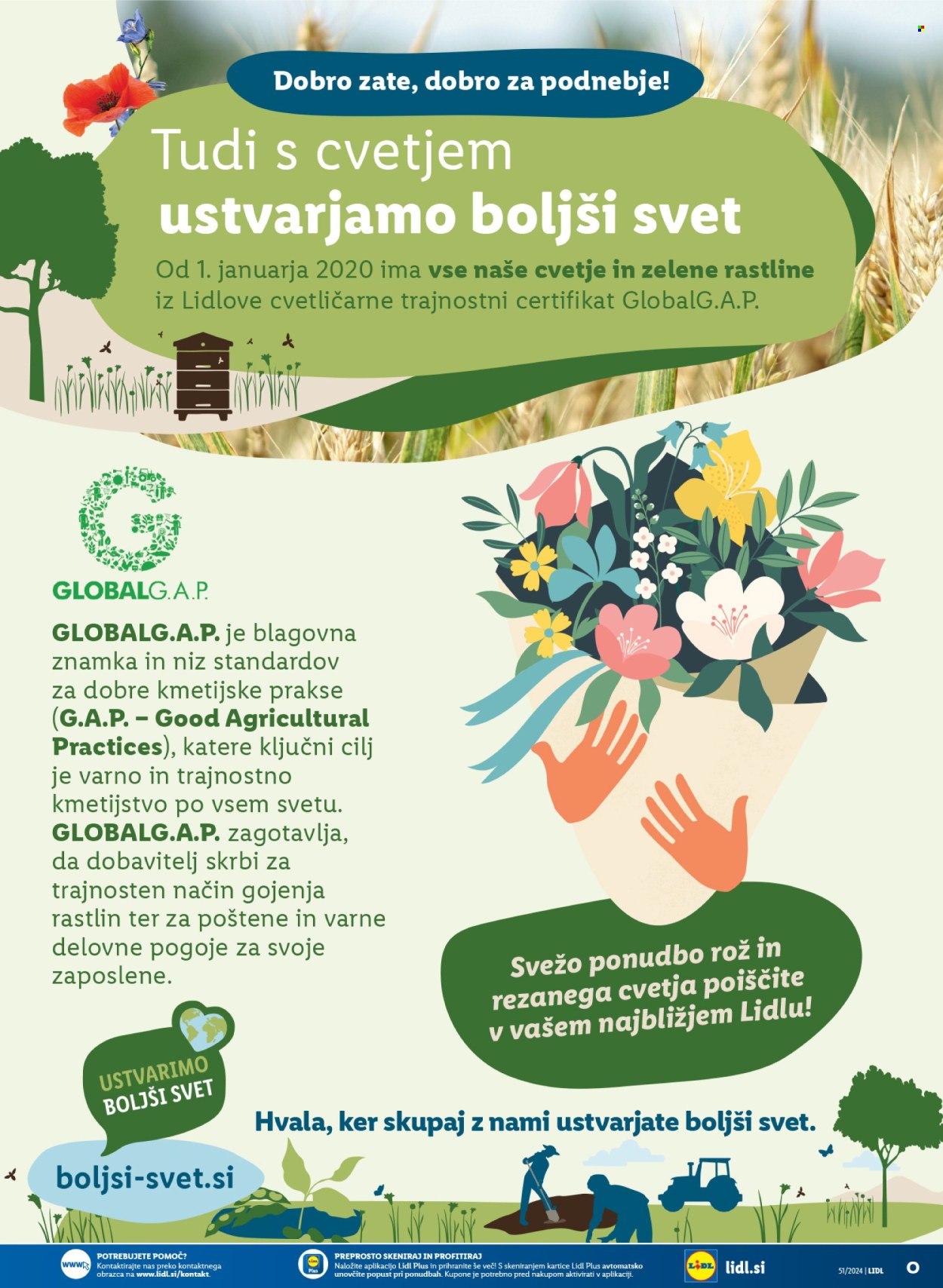 Lidl katalog - 19.12.2024 - 24.12.2024. Stran 35