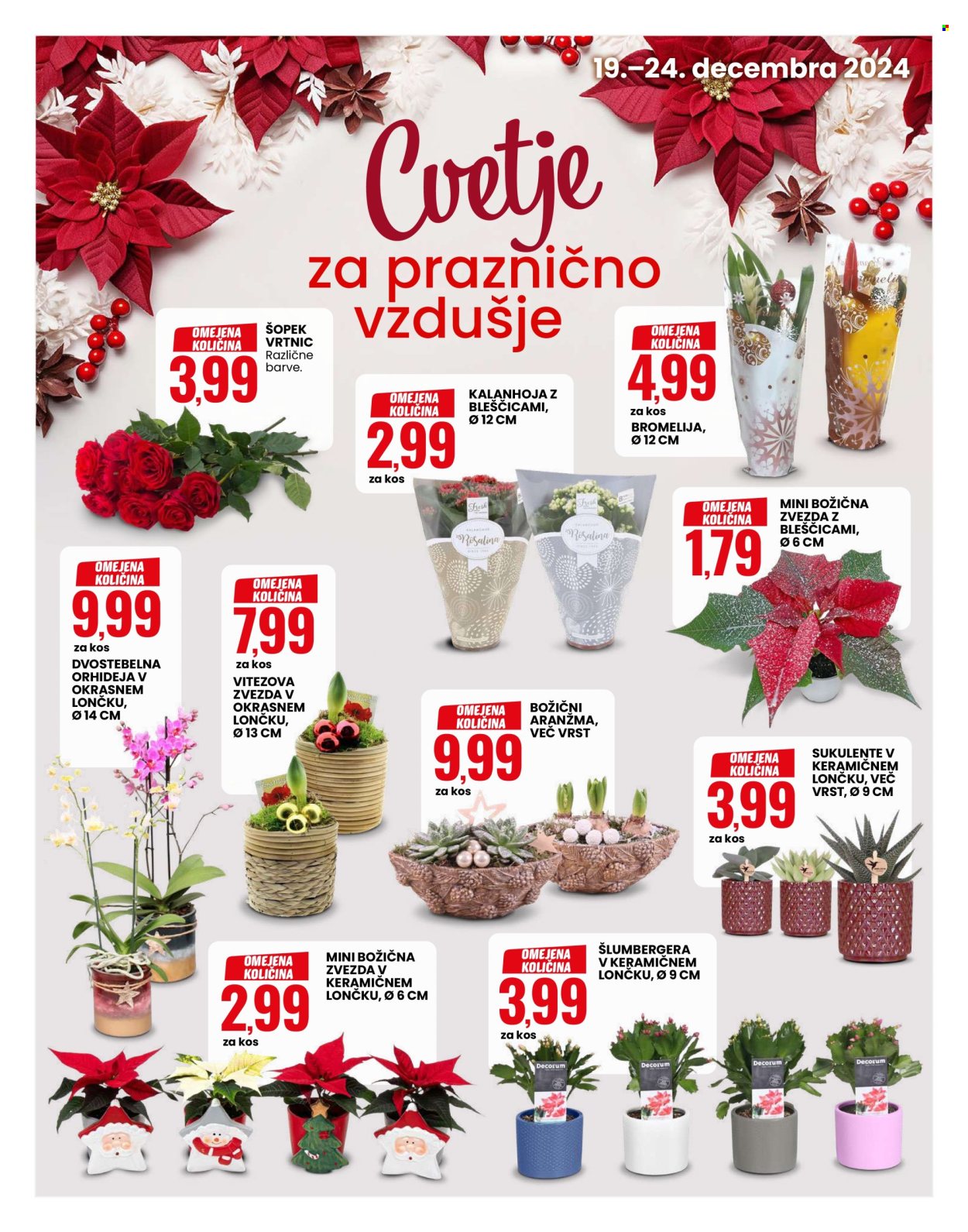 EuroSpin katalog - 19.12.2024 - 24.12.2024. Stran 7
