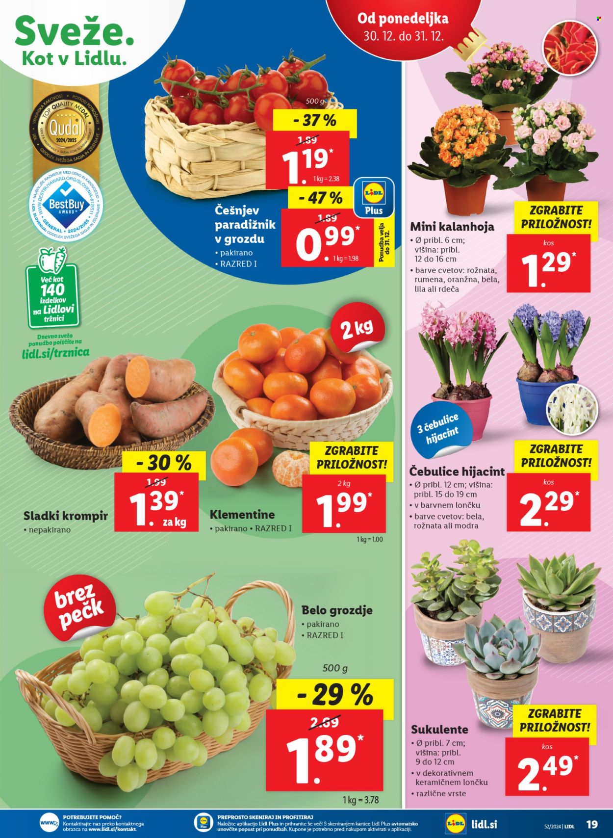 Lidl katalog - 24.12.2024 - 31.12.2024. Stran 31