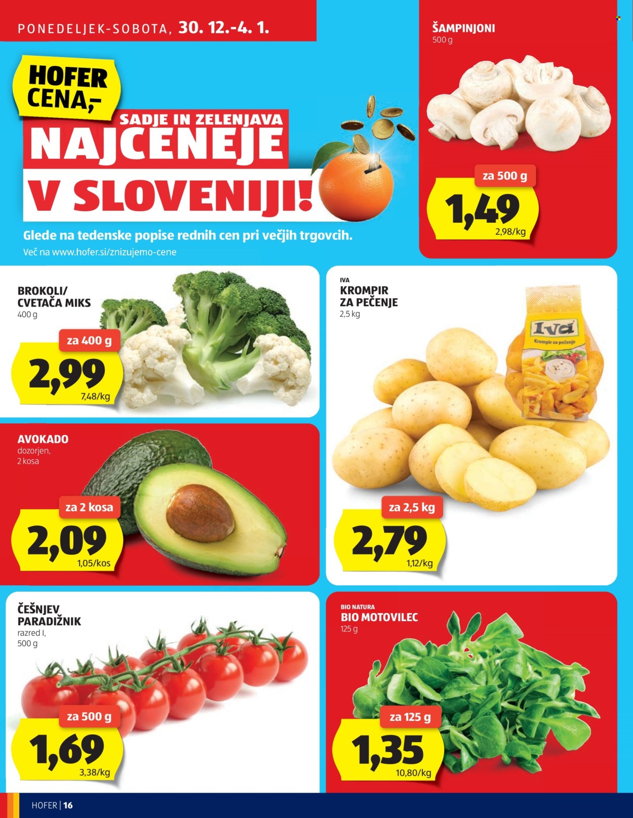 Hofer katalog - 27.12.2024 - 4.1.2025. Stran 16
