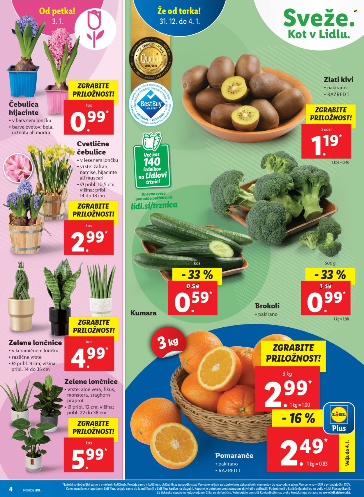Lidl katalog - 31.12.2024 - 8.1.2025. Stran 4