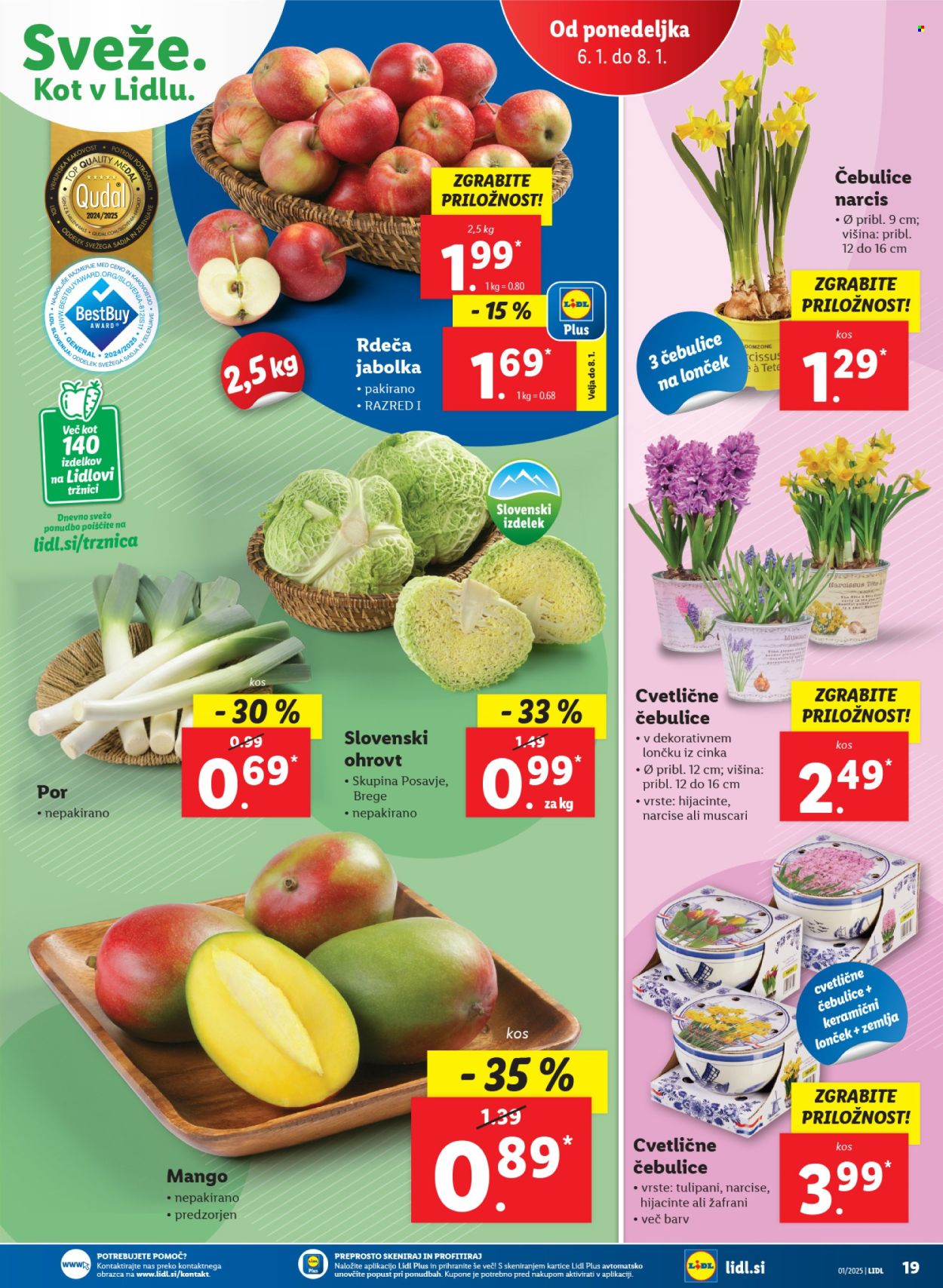 Lidl katalog - 31.12.2024 - 8.1.2025. Stran 31