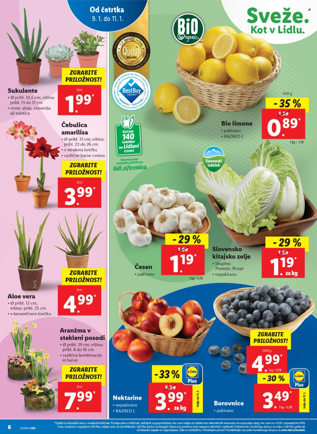 Lidl katalog - 9.1.2025 - 15.1.2025. Stran 6