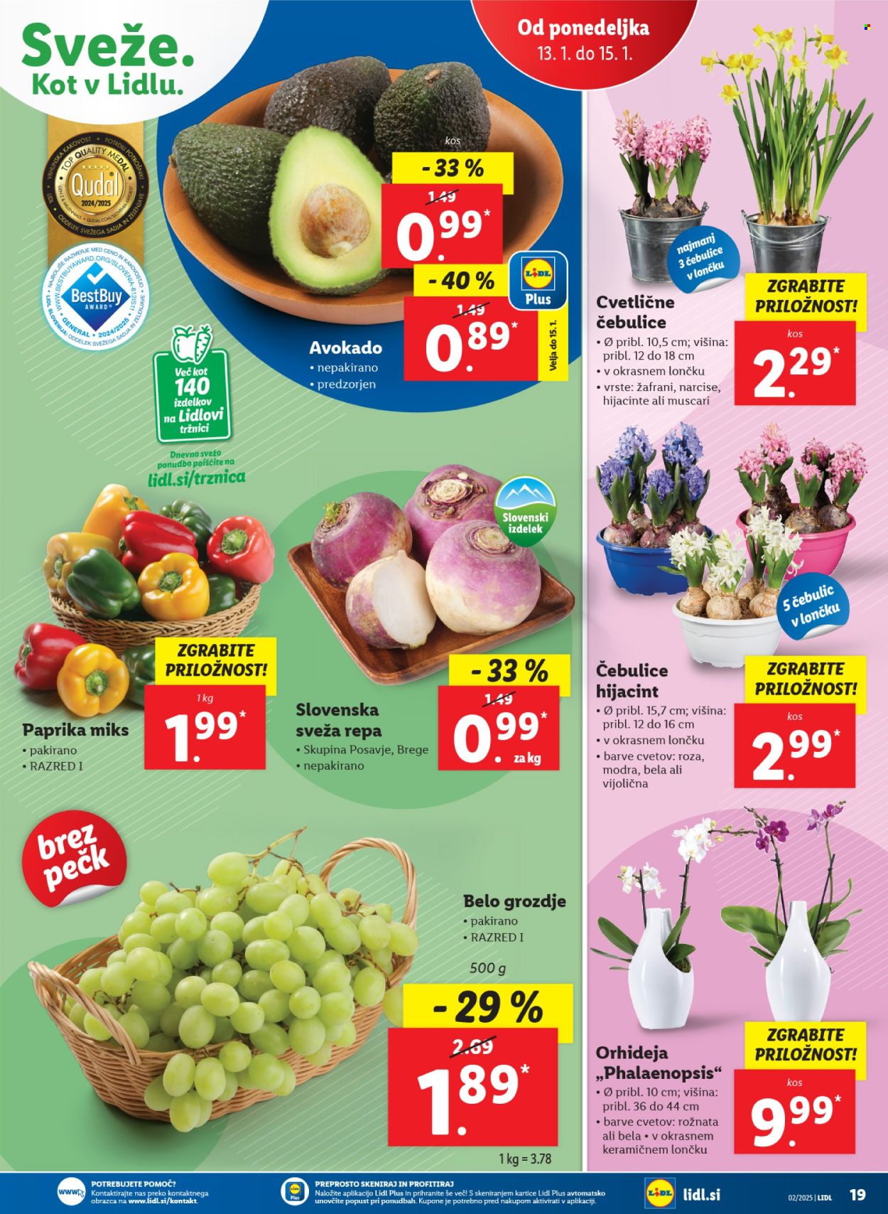 Lidl katalog - 9.1.2025 - 15.1.2025. Stran 29