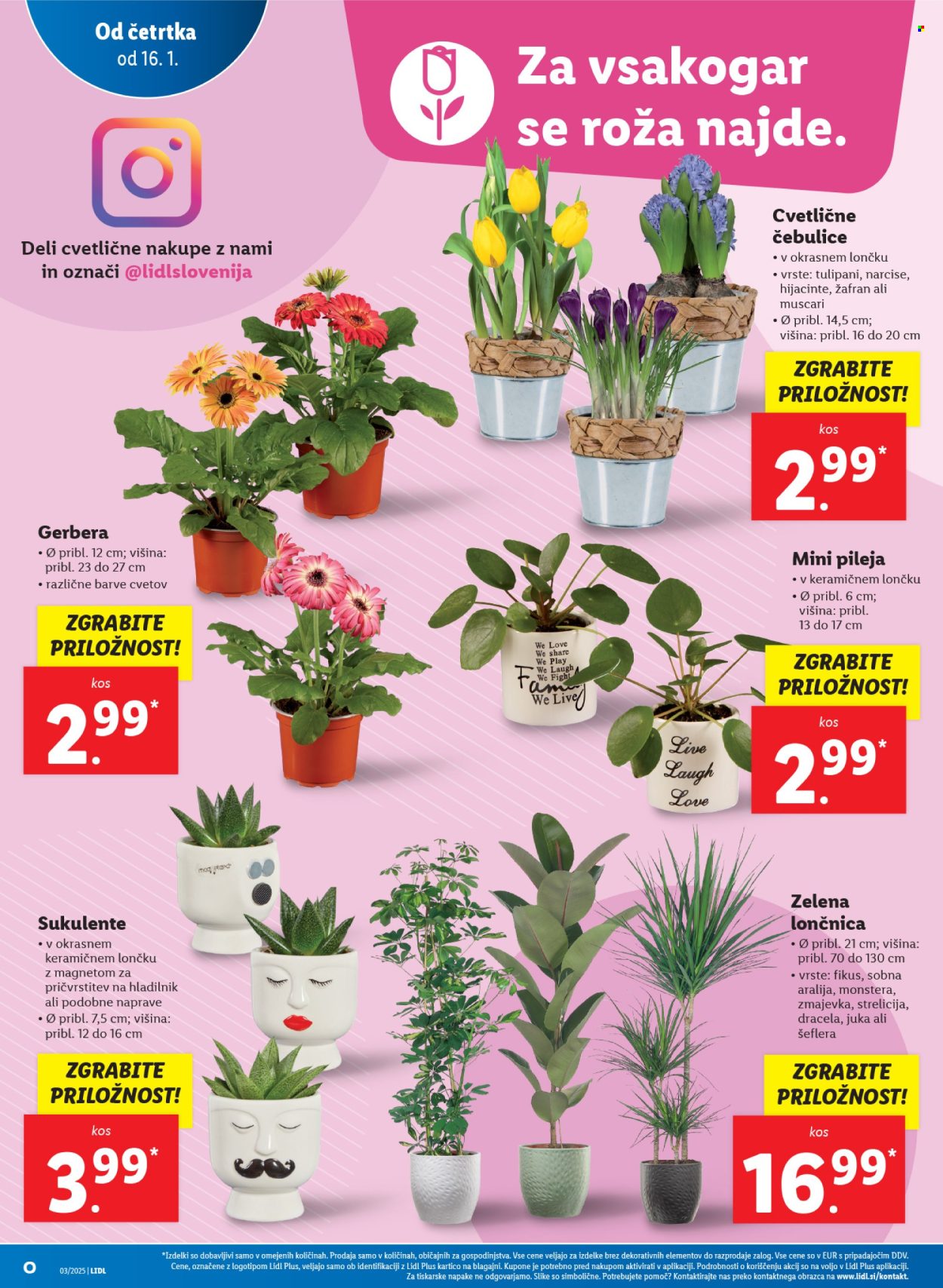 Lidl katalog - 16.1.2025 - 22.1.2025. Stran 4