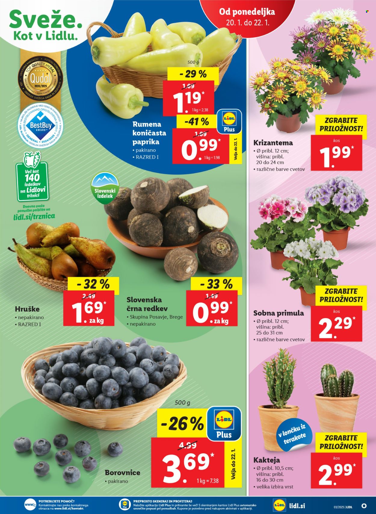 Lidl katalog - 16.1.2025 - 22.1.2025. Stran 47