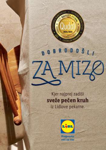 Lidl katalog.