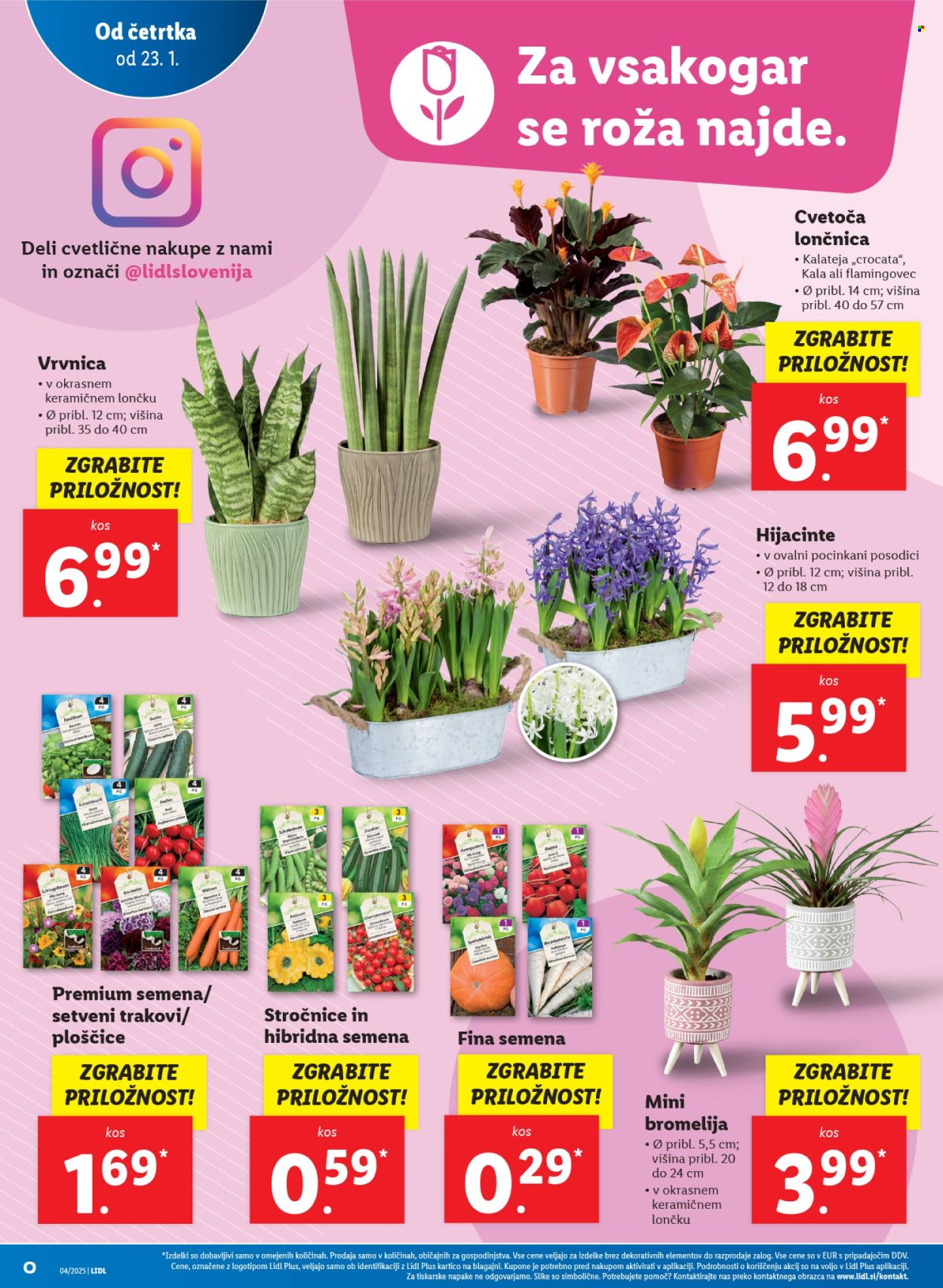 Lidl katalog - 23.1.2025 - 29.1.2025. Stran 6