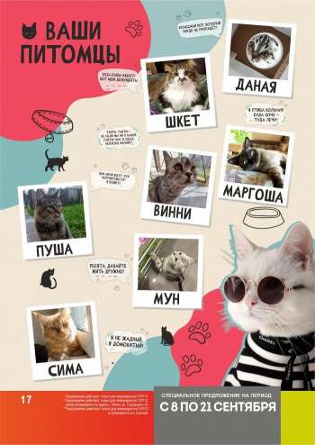 Каталог {store}