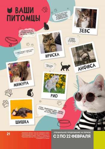 Каталог {store}