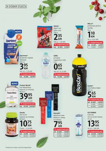 {store} katalog