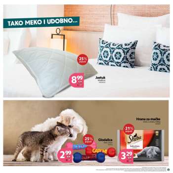 {store} katalog