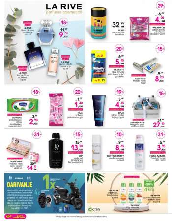 {store} katalog