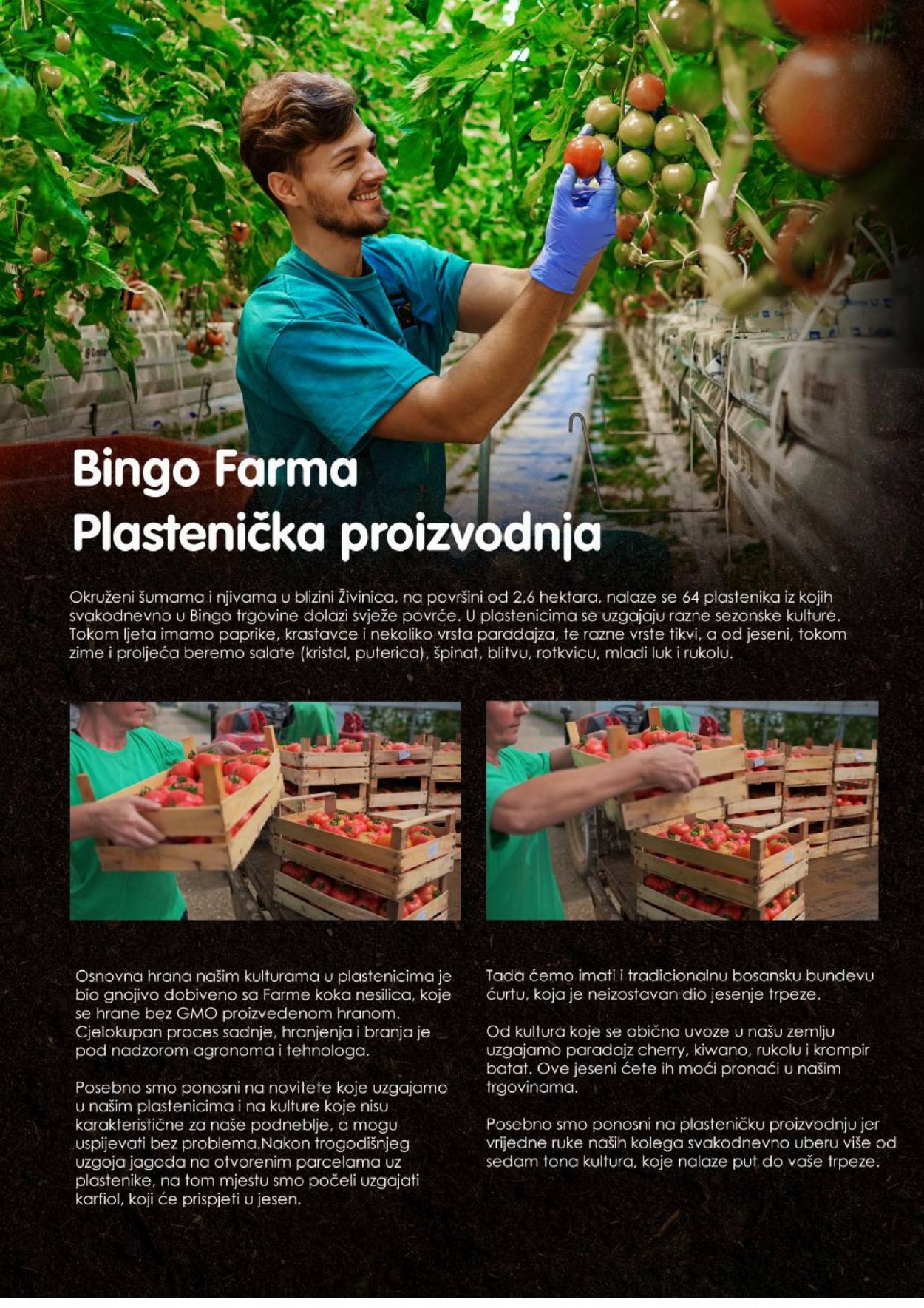 Bingo katalog - 02.08.2021. - 08.08.2021.. Stranica 2