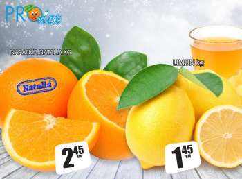 Prodex katalog