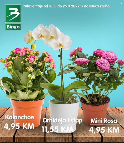 Bingo katalog - 18.03.2022. - 25.03.2022.. Stranica 1
