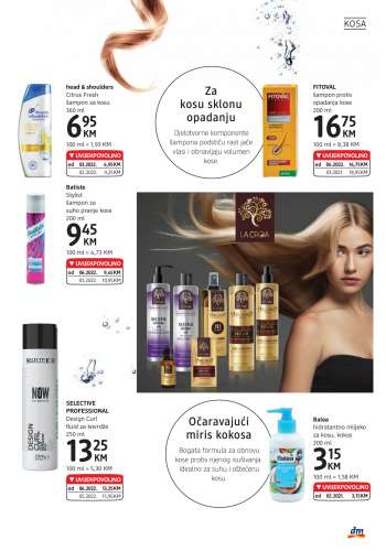 {store} katalog