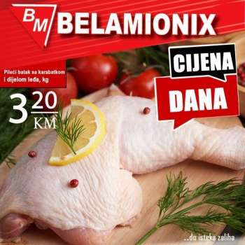 Belamionix katalog