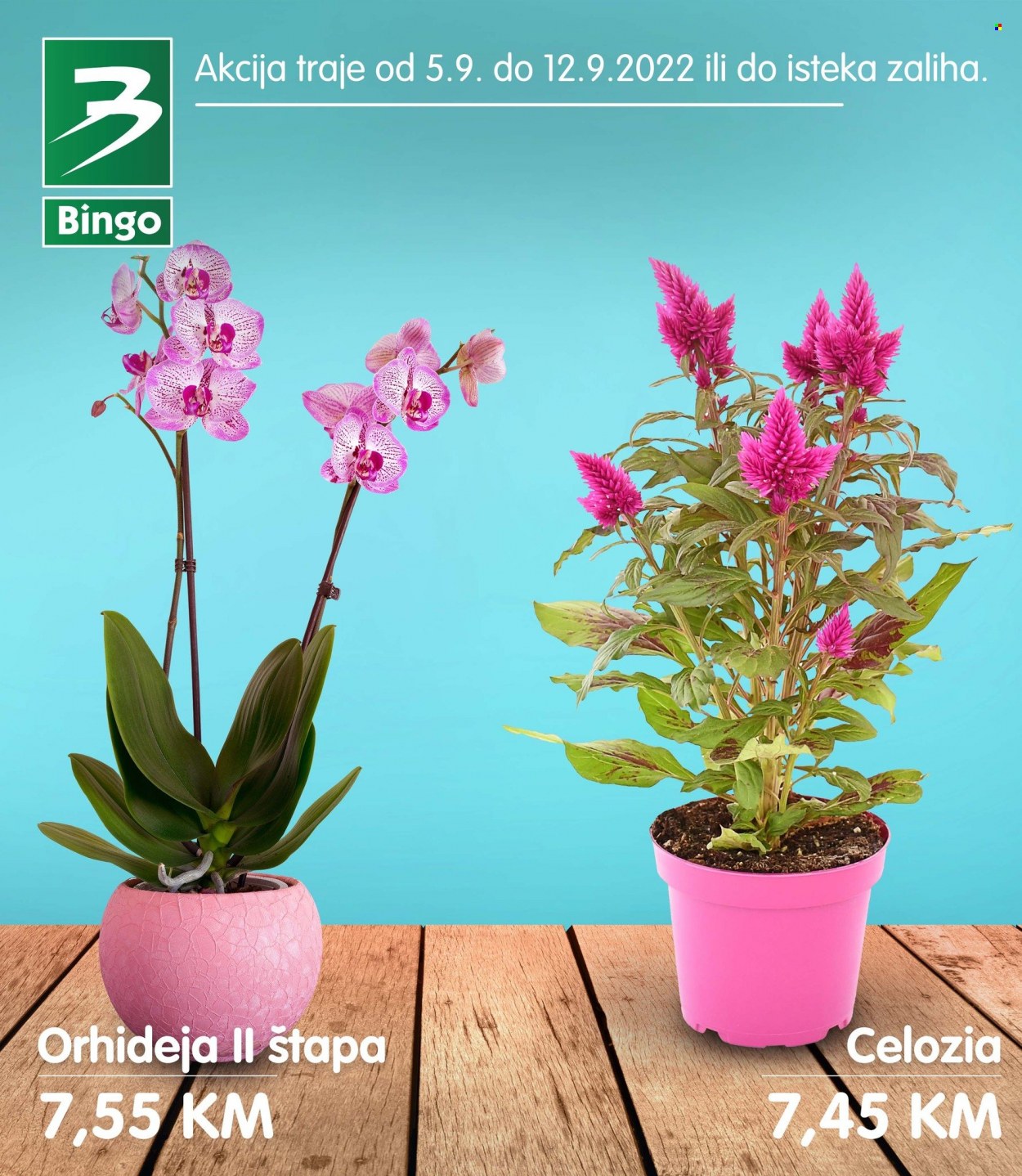 Bingo katalog - 05.09.2022. - 12.09.2022.. Stranica 1